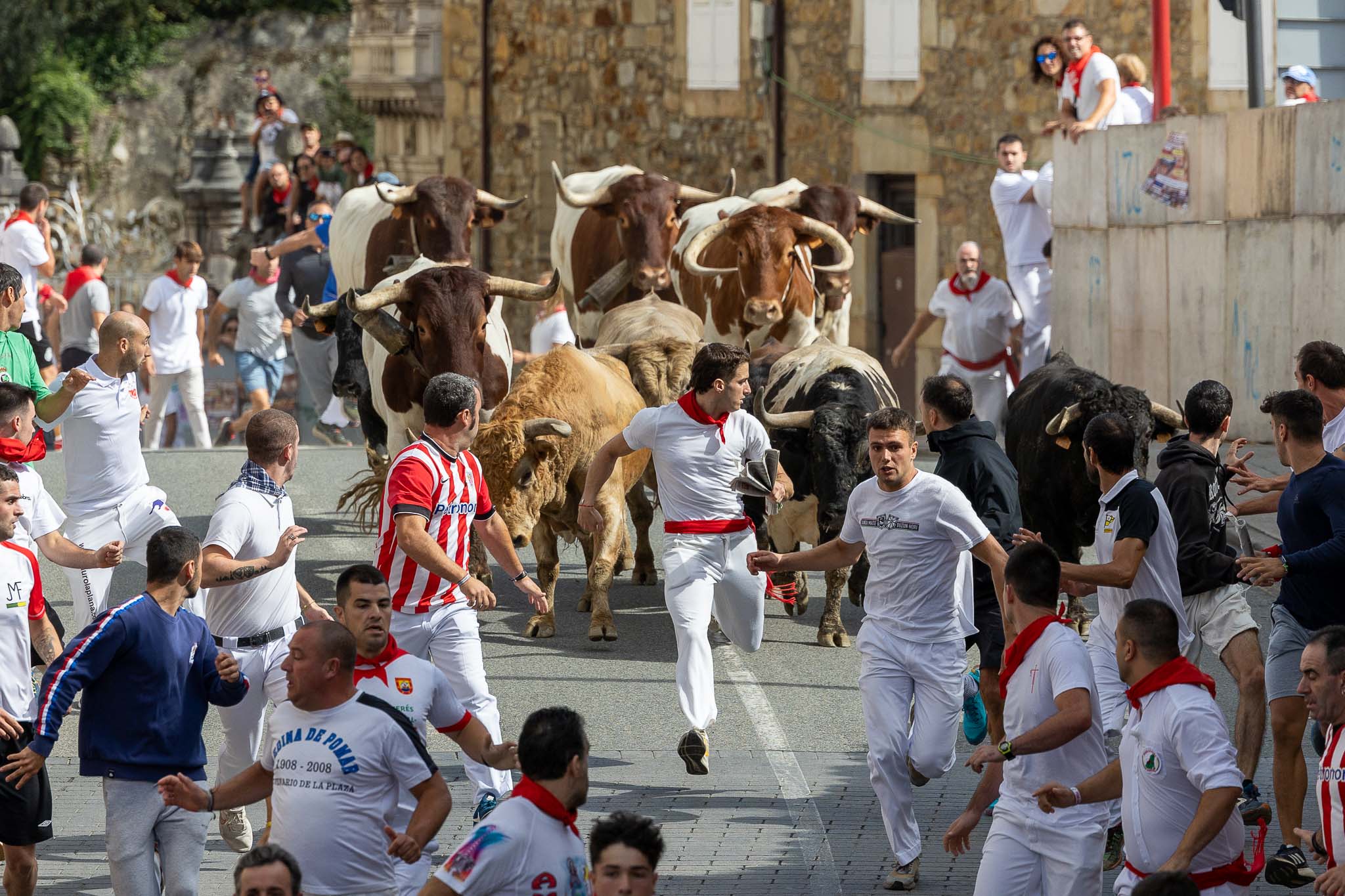 Los toros han protagonizado momentos de tensión tanto a la ida como a la vuelta y han dejado un herido por cornada, un joven de Llodio que fue volteado en la carrera de ida.