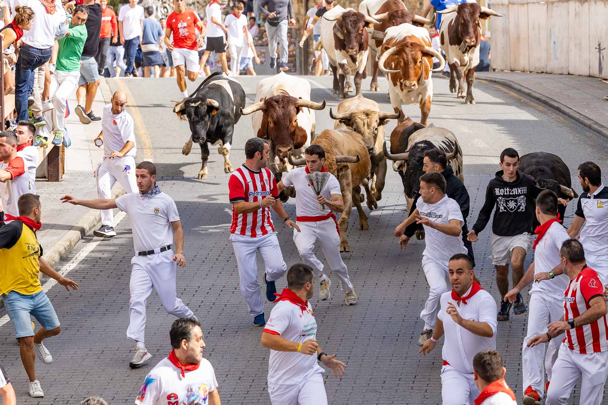 Las seis reses, llegadas de la Finca Toropasión, se entregaron al espectáculo ya de salida.