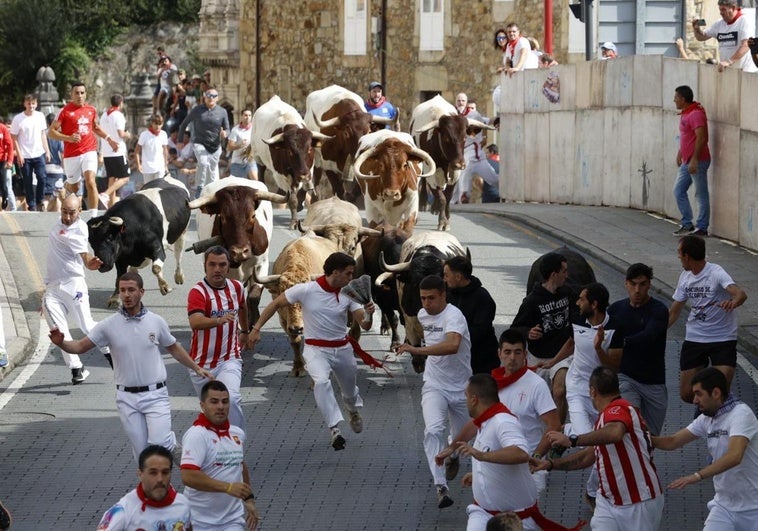 Momento del la carrera del tercer y último encierro en Ampuero.