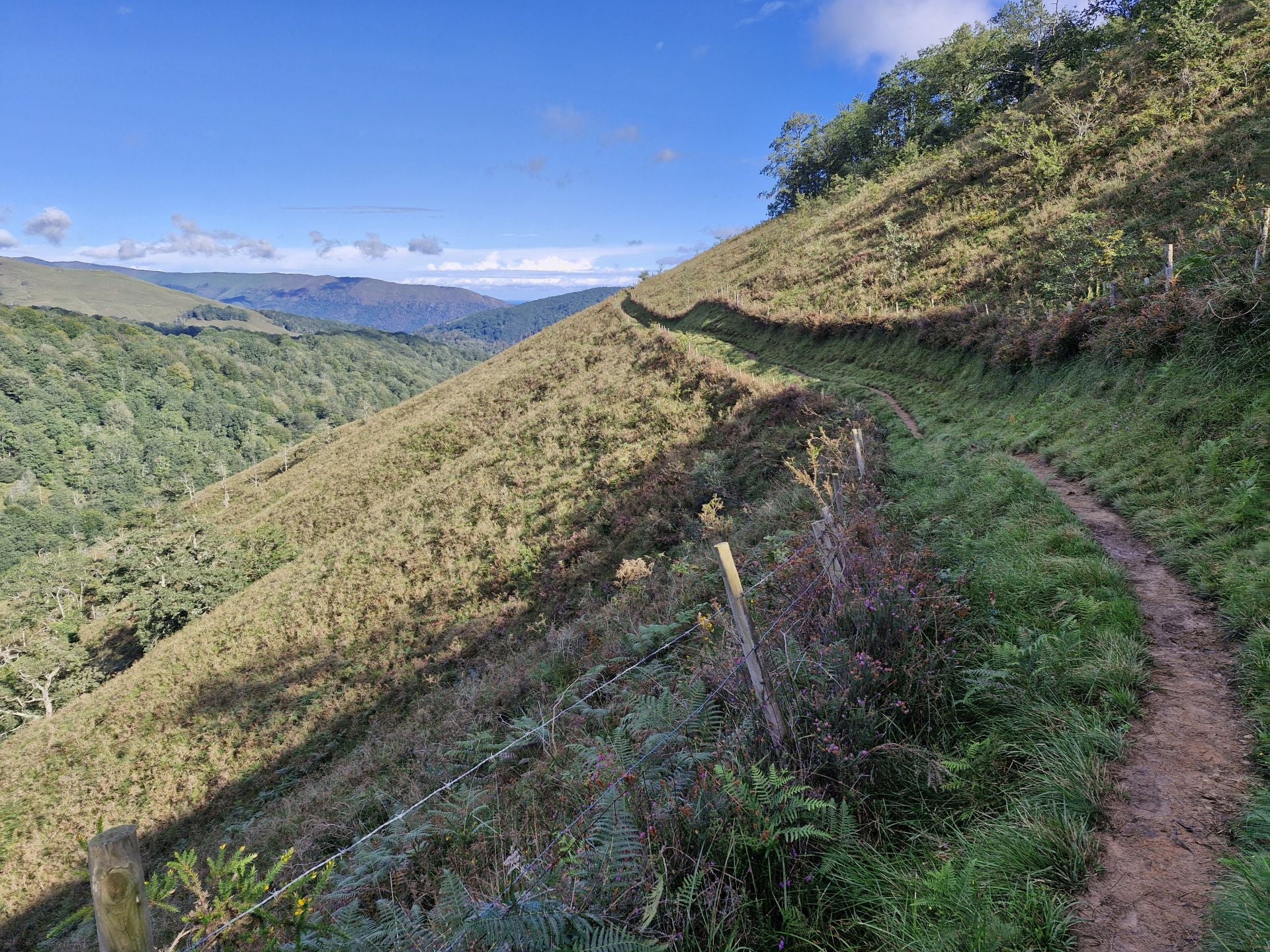 La ruta alterna tramos de bosque con paisajes más abiertos.