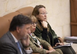 Leticia Díaz, al fondo de la imagen, durante un pleno en el Parlamento. A su lado los diputados Natividad Pérez y Cristóbal Palacio.