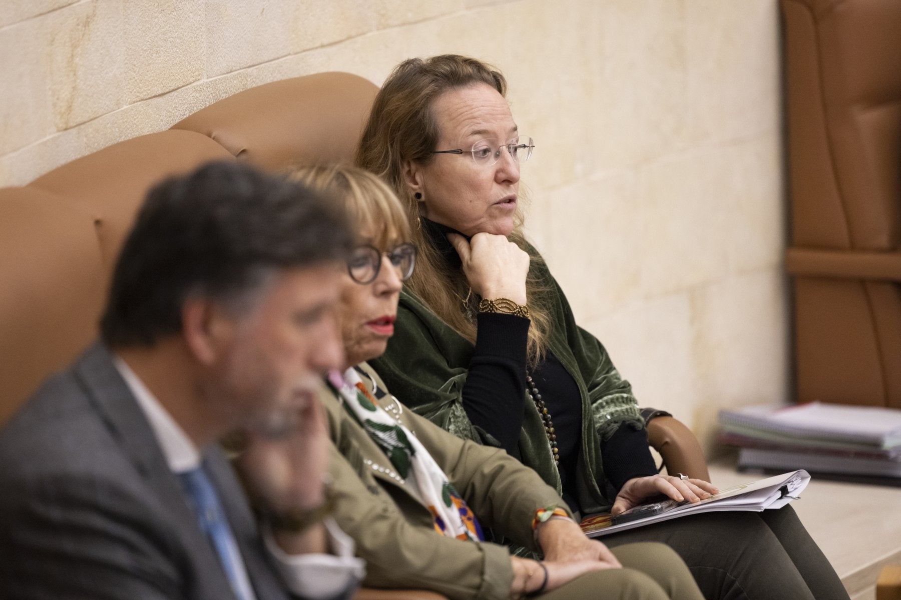 Leticia Díaz, al fondo de la imagen, durante un pleno en el Parlamento. A su lado los diputados Natividad Pérez y Cristóbal Palacio.