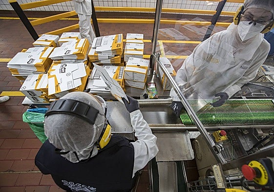 Operarias de la fábrica de La Penilla de Cayón empaquetan tabletas de Nestlé Jungly.