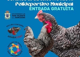 Cartel de la muestra-exposición de gallinas de raza en San Vicente.