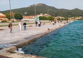 La pleamar llega hasta los bordes