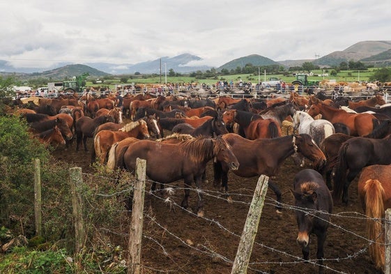 Visitantes a su paso por el recinto ferial