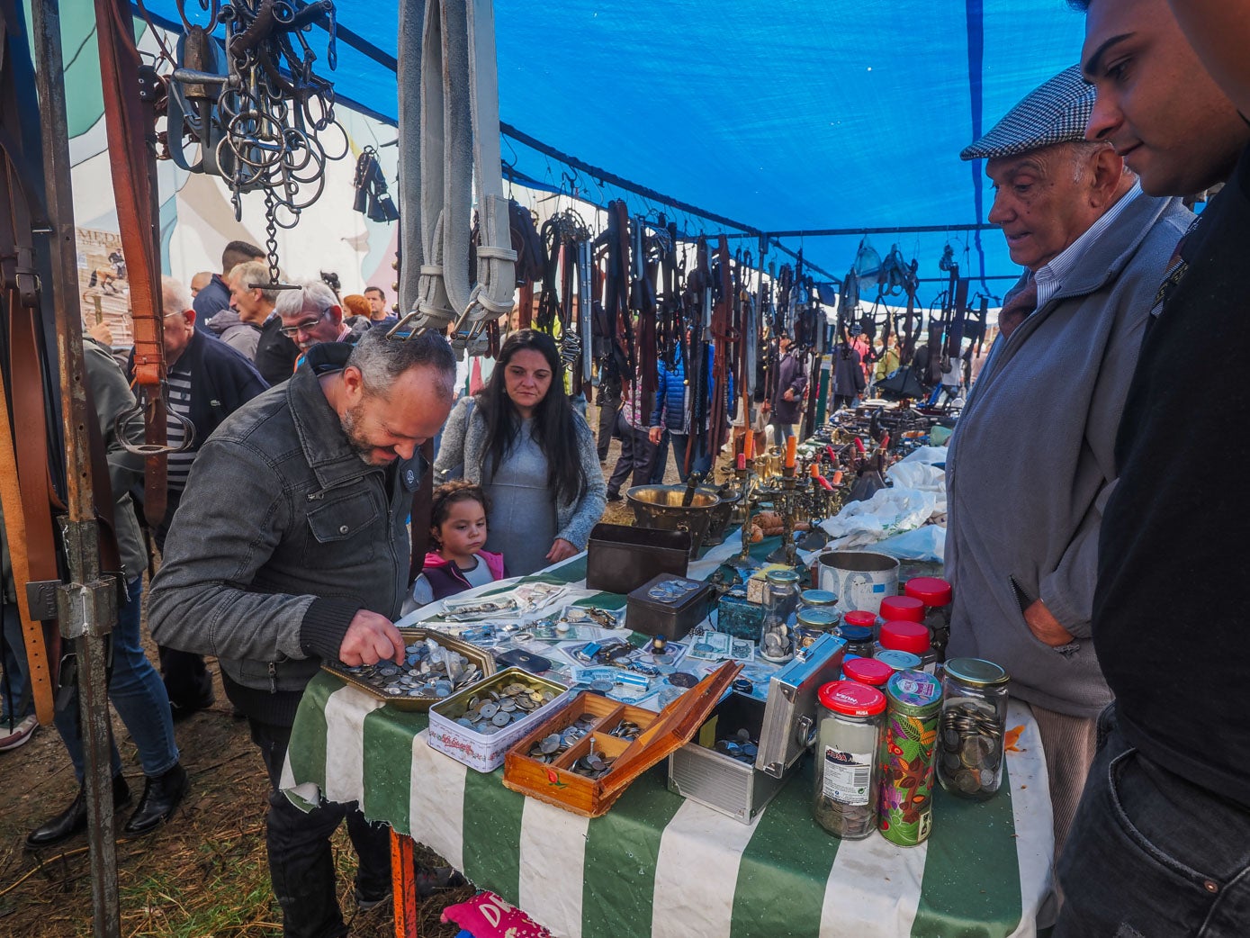 Cinturones, cabezadas, y demás productos de cuero.