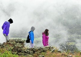 Varios jóvenes caminan por una zona rural.