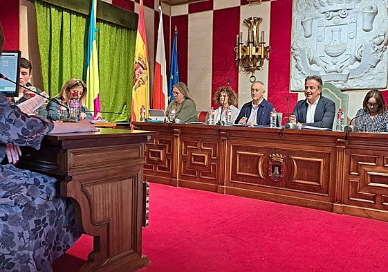 Los concejales en el pleno celebrado este jueves en Camargo.
