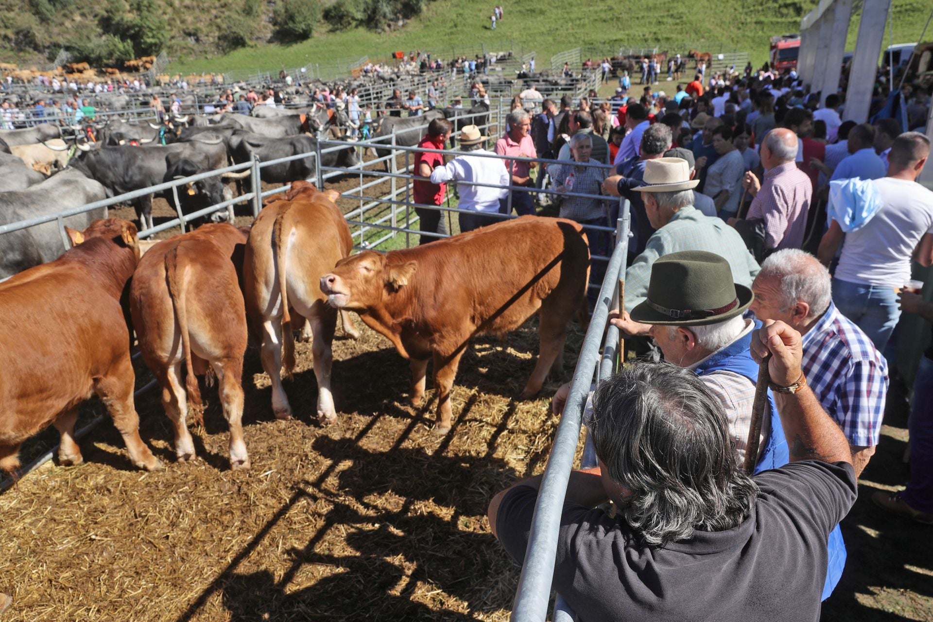 Numerosas personas de todo el valle de Nansa acudieron a la feria