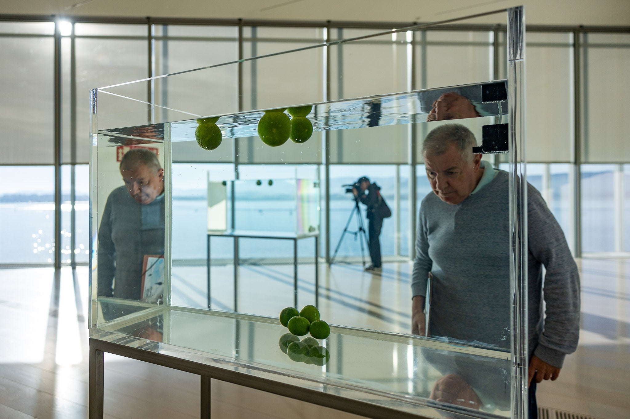 'Something that floats/something that skins' ('Algo que flota/algo que se hunde') es una obra que presenta frutas y verduras dispuestas dentro de tanques de cristal con agua que muestran un extraño fenómeno natural: algunas especies flotan y otras no.