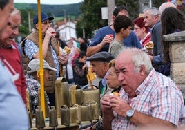 Tudancas sobre el asfalto en Cabezón