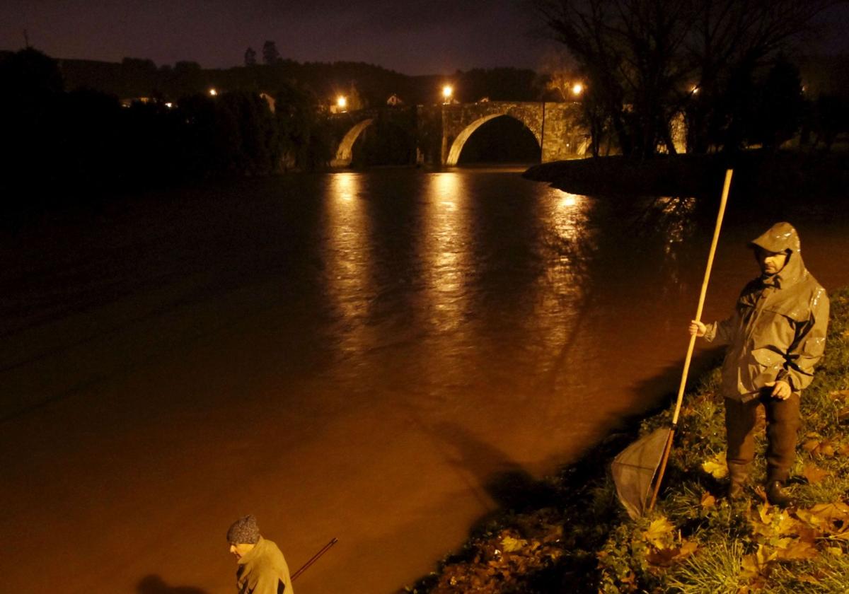 La angula se podrá pescar en Cantabria entre el 1 de noviembre y el 28 de febrero