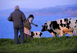 El cierre de una granja de leche cada semana en 2023 alienta la agonía del sector primario