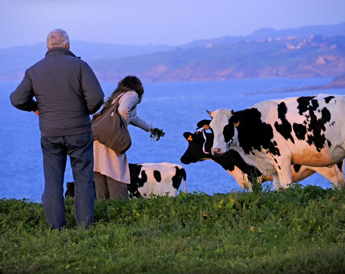 El cierre de una granja de leche cada semana en 2023 alienta la agonía del sector primario