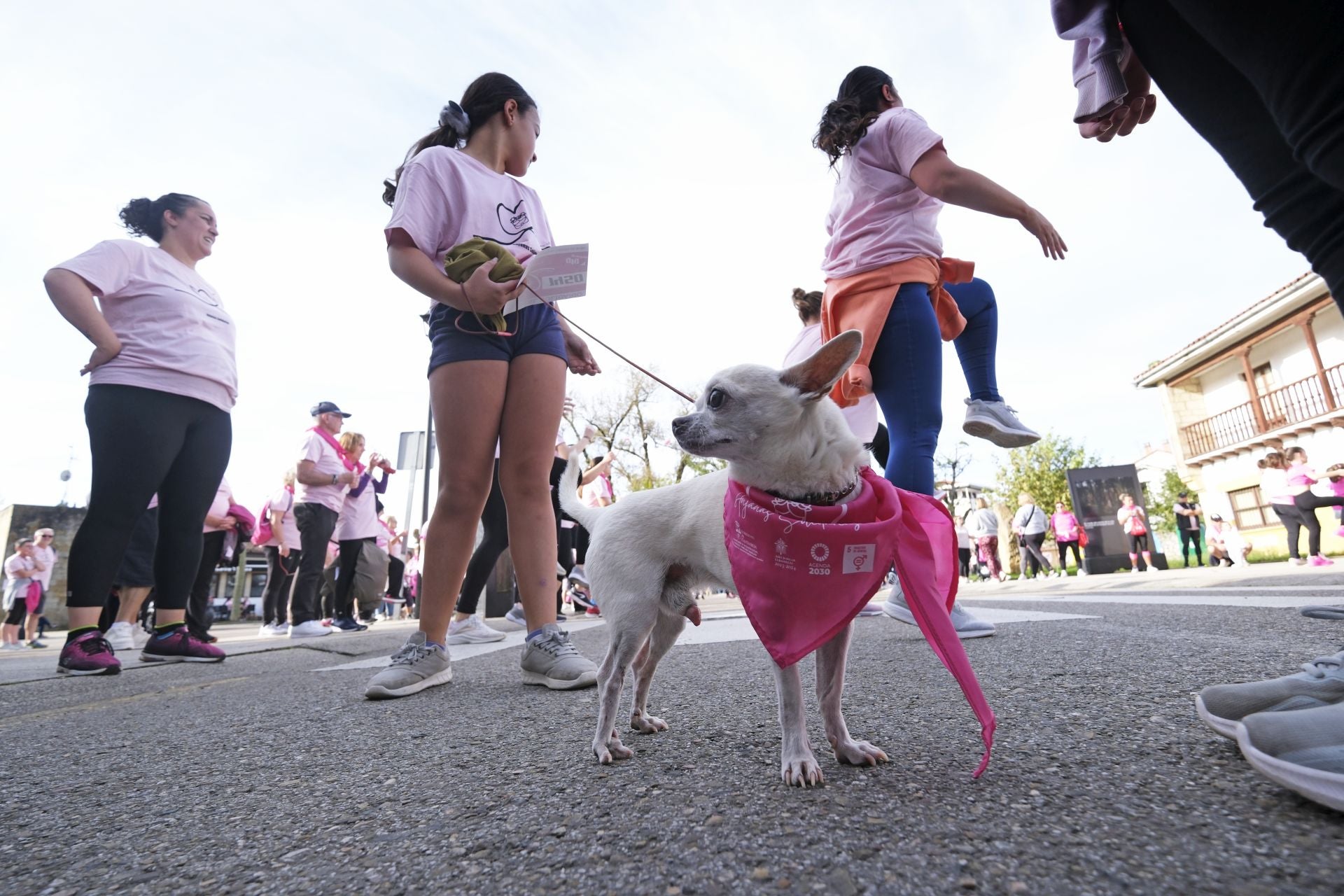 Búscate si has participado en la carrera en Reocín