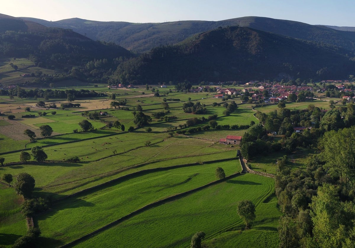 Ámbito de actuación de Turismo en Cabuérniga.