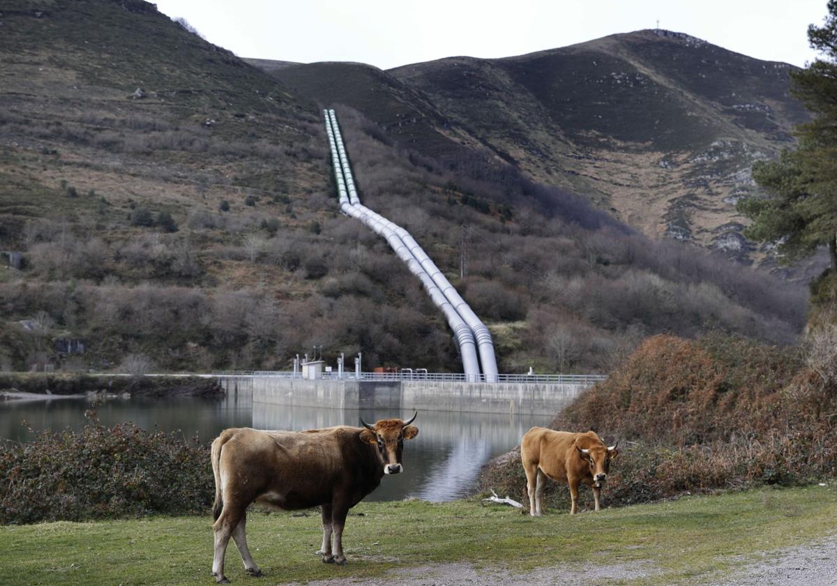 Imagen de la central hidroeléctrica de Aguayo con los tubos al fondo que conectan los dos embalses.