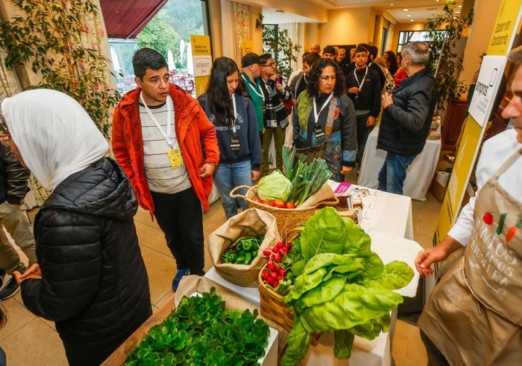 Una muestra de verduras y hortalizas de la huerta, en la feria de productores.