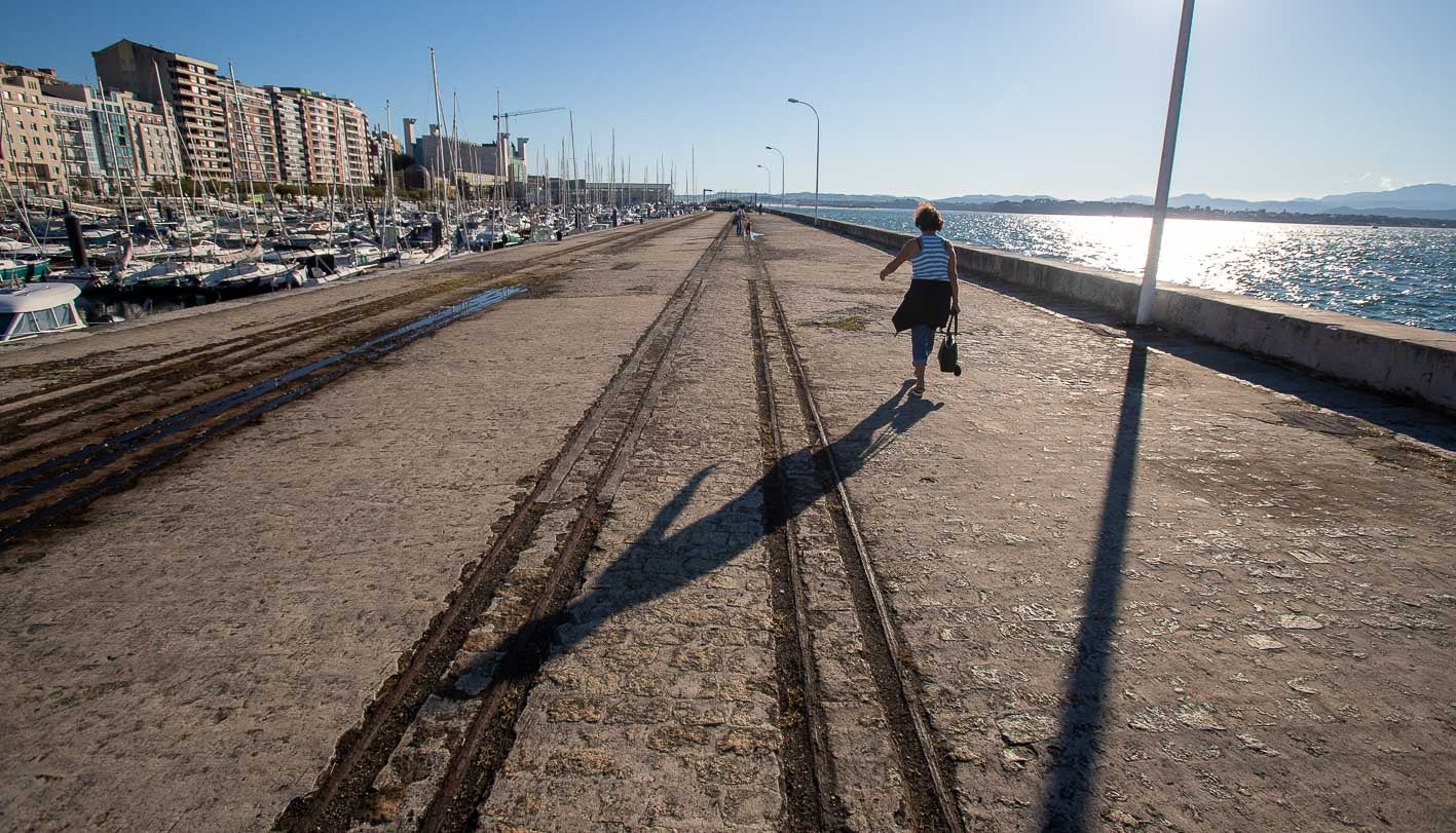 La alcaldesa de Santander, Gema Igual, ha desechado el plan inicial, que incluía un bisonte de Okuda en el entorno del muelle. 