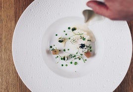 Emplatado del ajo blanco de tomate, apio y copos de coliflor