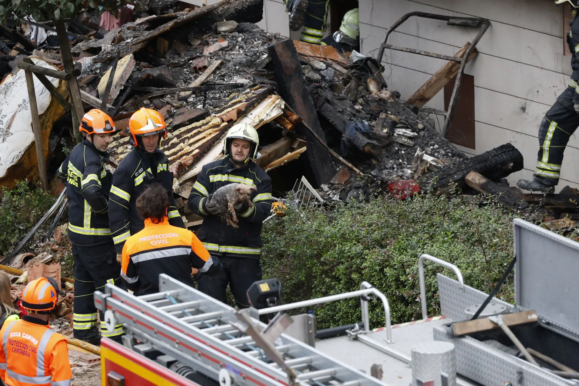 Uno de los bomberos carga al animal, vivo, pero aterrado