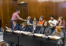 Los partidos de la oposición, PSOE, PRC e Izquierda Unida, durante el Pleno celebrado este jueves.