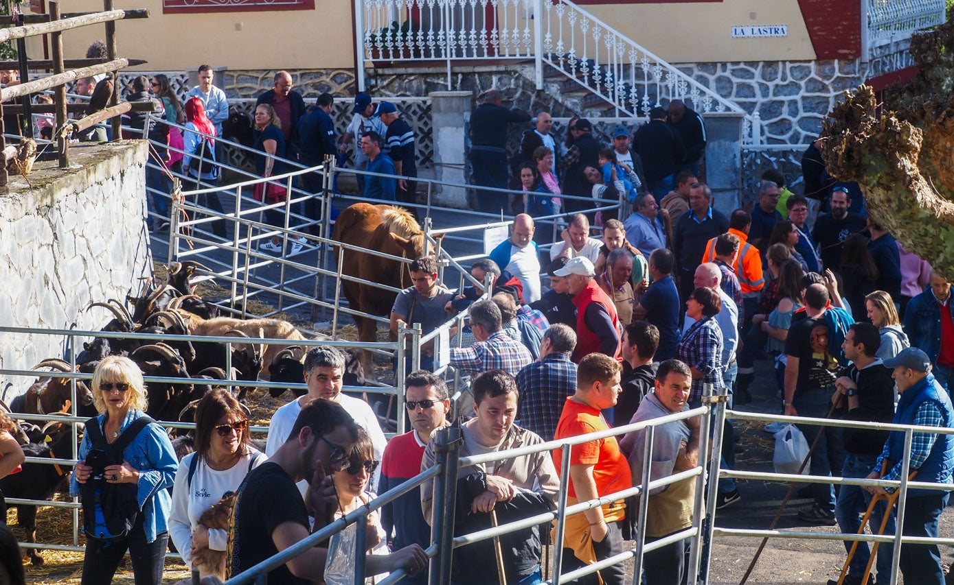 Público y ganaderos observan los ejemplares presentados a la feria.