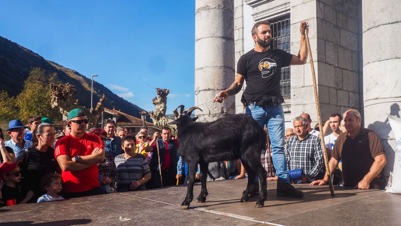 El concurso morfológico de cabras fue la novedad de esta edición.