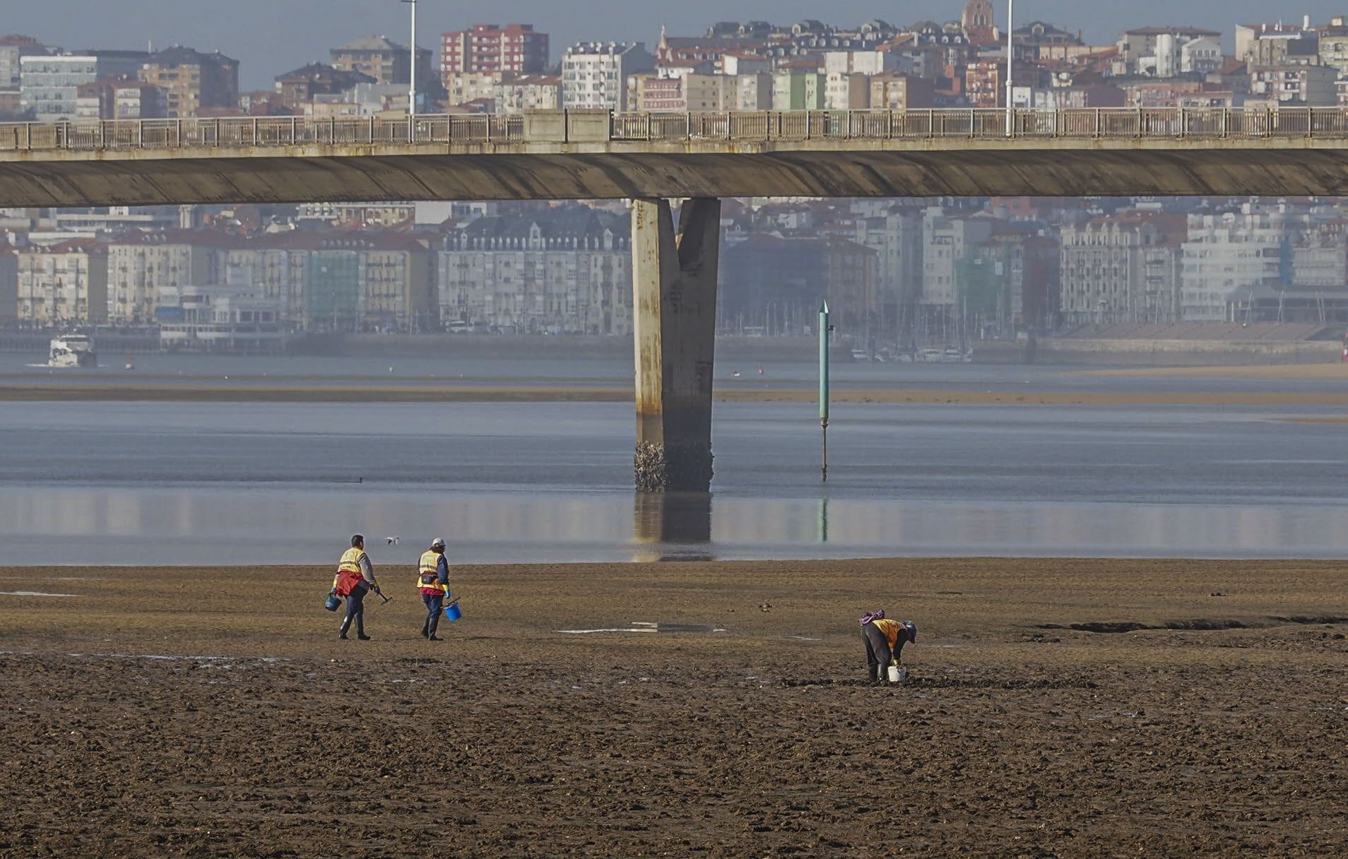 Mariscadcores pescan bajo el puente en baja mar en 2019