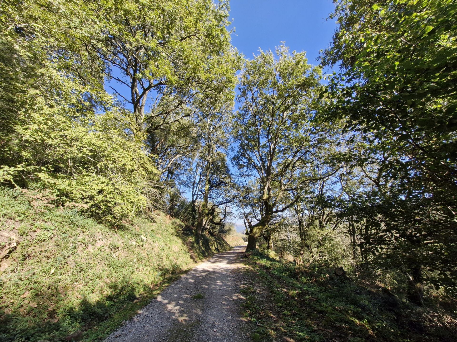 Desde el refugio del Monte Brazo, la pista ya es en descenso camino de Somahoz. 