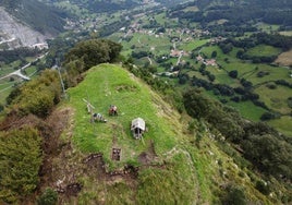 Vista de pájaro de la cumbre de Monte Castillo, en una cota de 350 metros.