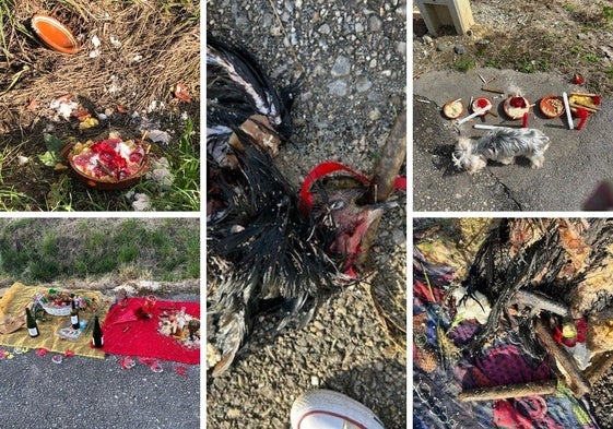 Aparece un gallo degollado y restos de rituales de santería en Peñacastillo