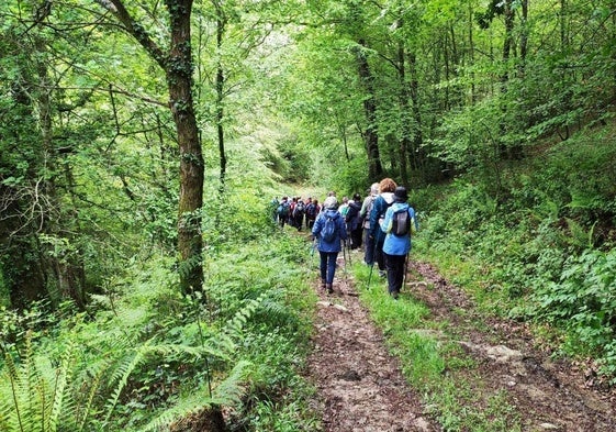 De ruta por el hayedo de Rasillo