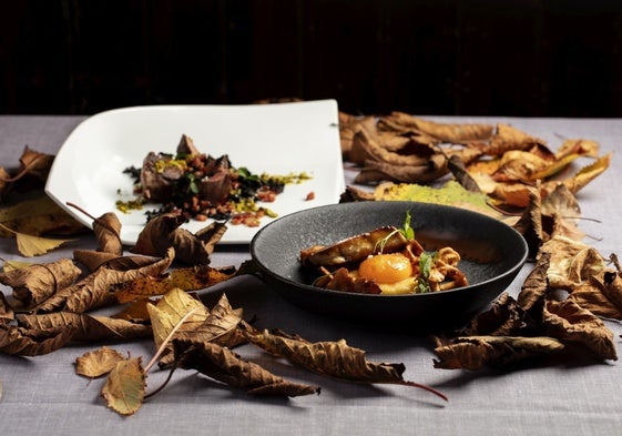 Plato de otoño con setas, yema curada y setas.