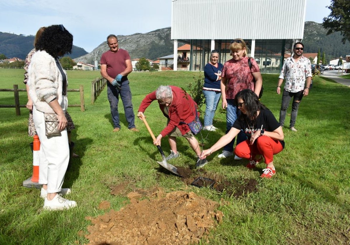 Plantación de un castaño en el inicio de Magostas de Buelna 2024.