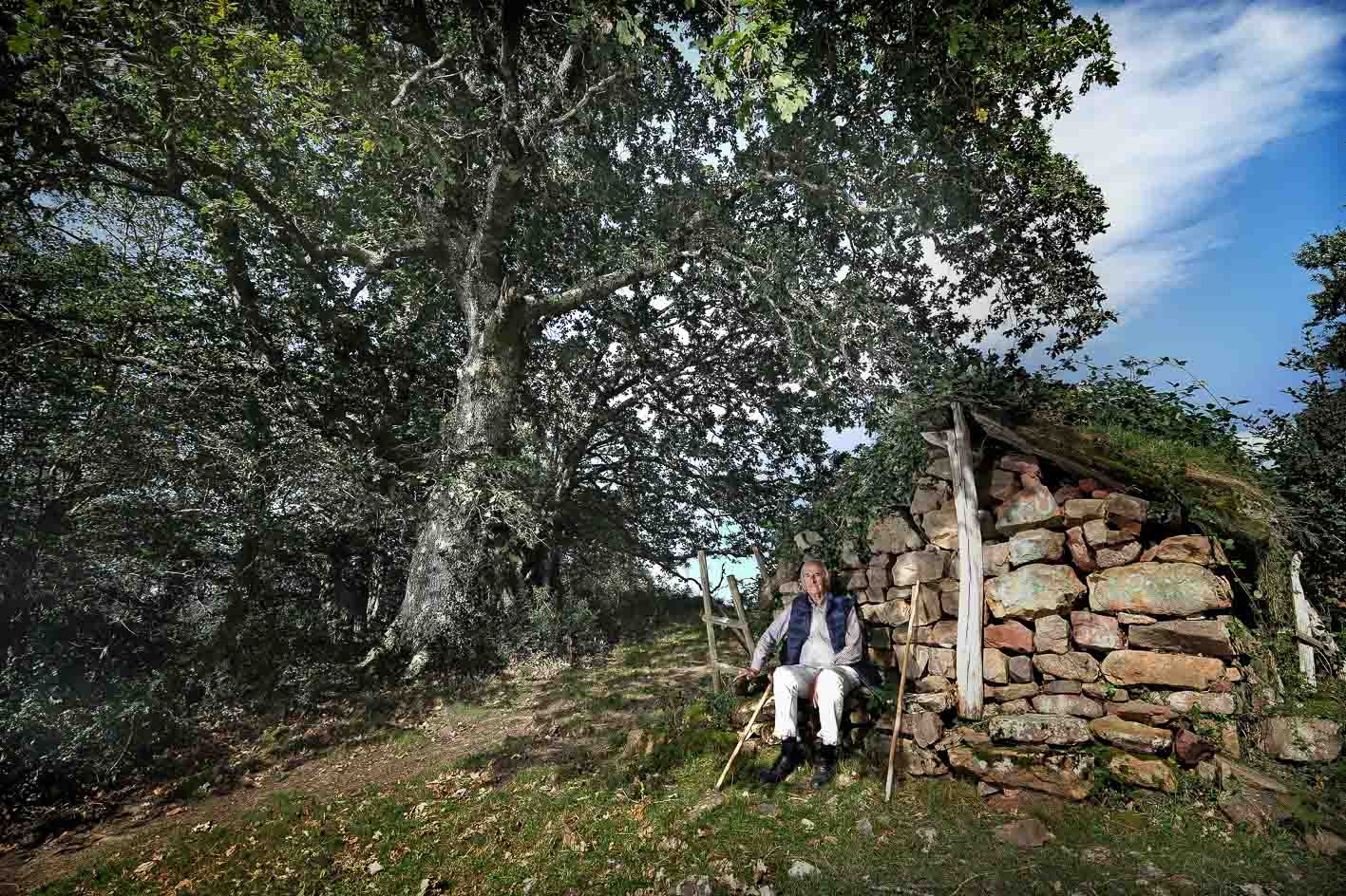 José Luis Morante vuelve cincuenta años después a Las Rozas, un antiguo barrio abandonando en el monte de Ucieda. Sentado junto a la cabaña Ju la Collá, recuerda sus vivencias de infancia cuando iba con su padre a segar.