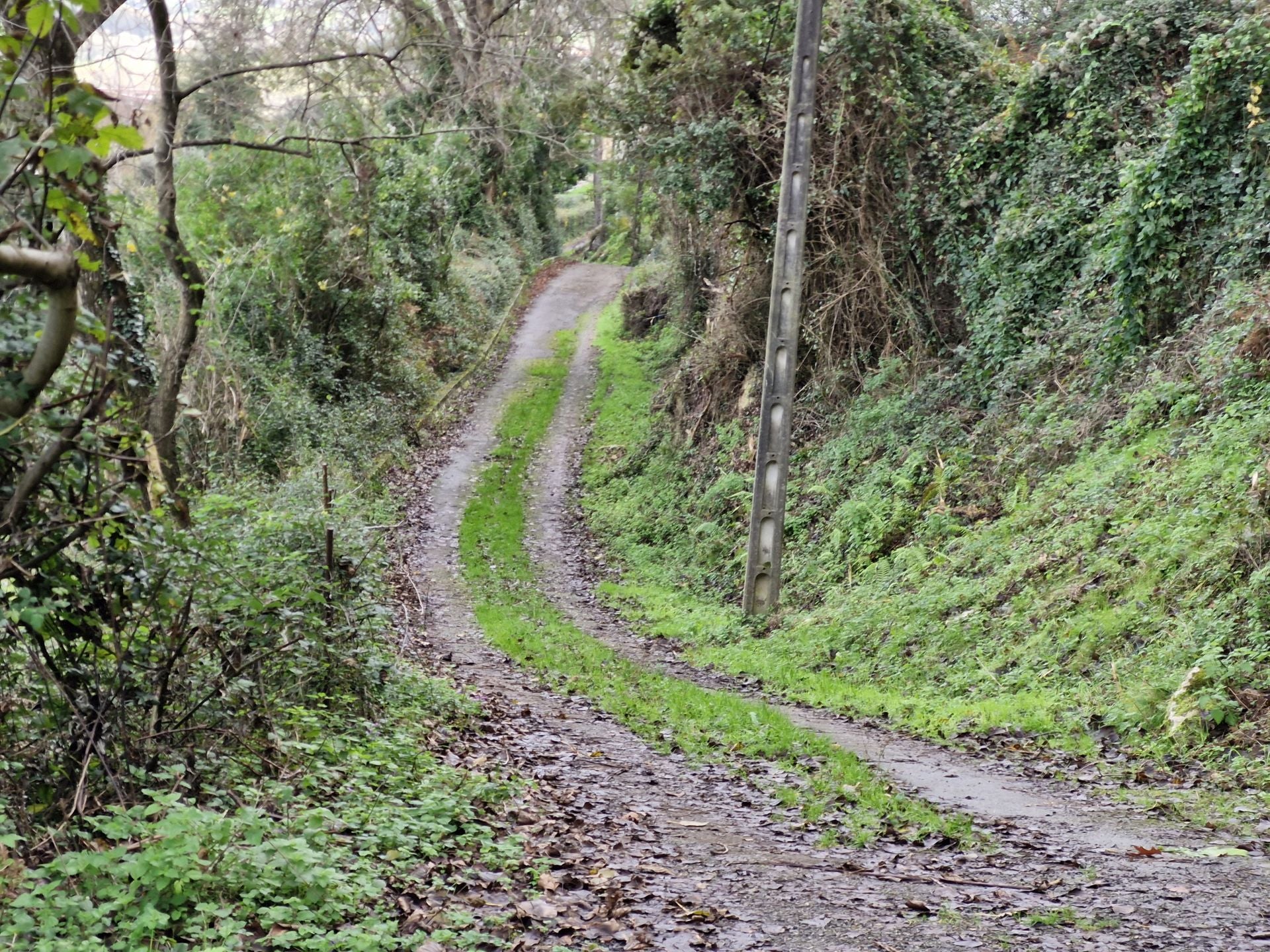 Las primeras cuestas, con firme de asfalto, ya avisan de que el camino es casi todo hacia arriba.