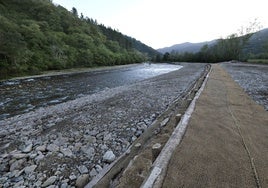 Talud realizado mediante la técnica de bioingeniería en torno al río Saja a su paso por Terán, en Cabuérniga.