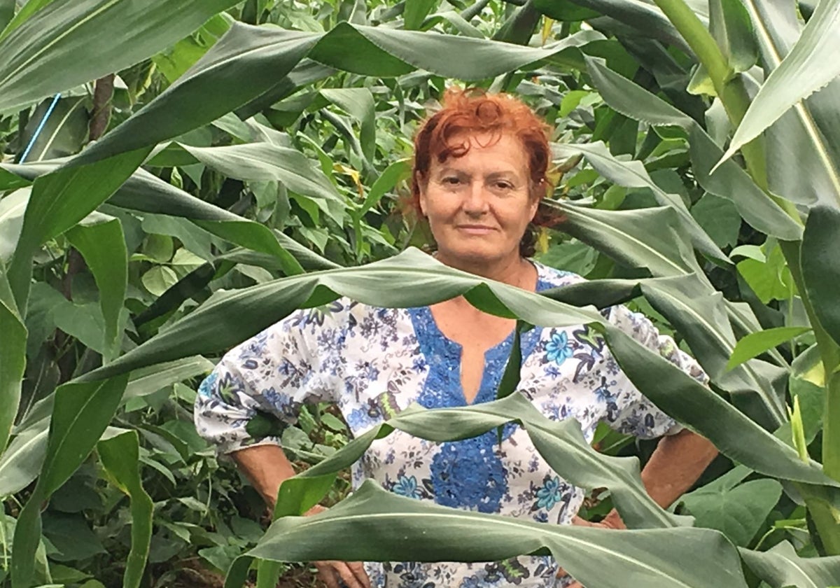 Rafaela Mardaras, en el maizal donde cultiva de manera simbiótica su carico ecológico.