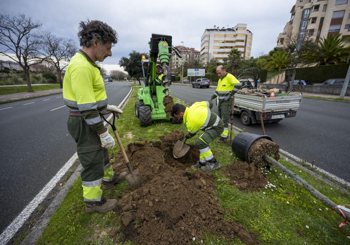 Varios empleados del servicio de Parques y Jardines trabajan en la zona de la S-20.