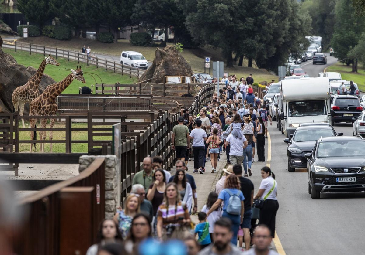 Turistas visitando el Parque de Cabárceno el pasado verano.