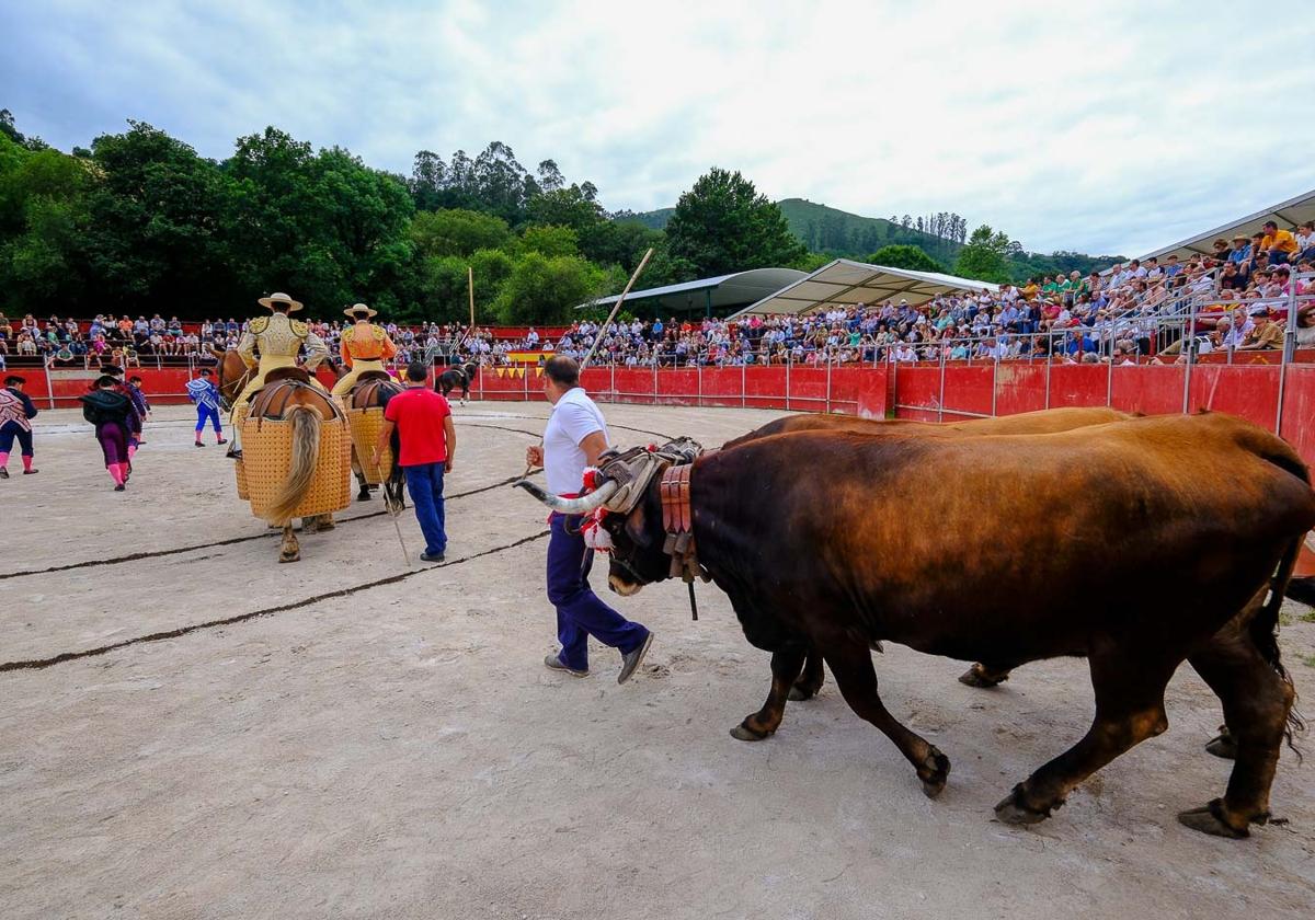 Feria taurina en Treceño.