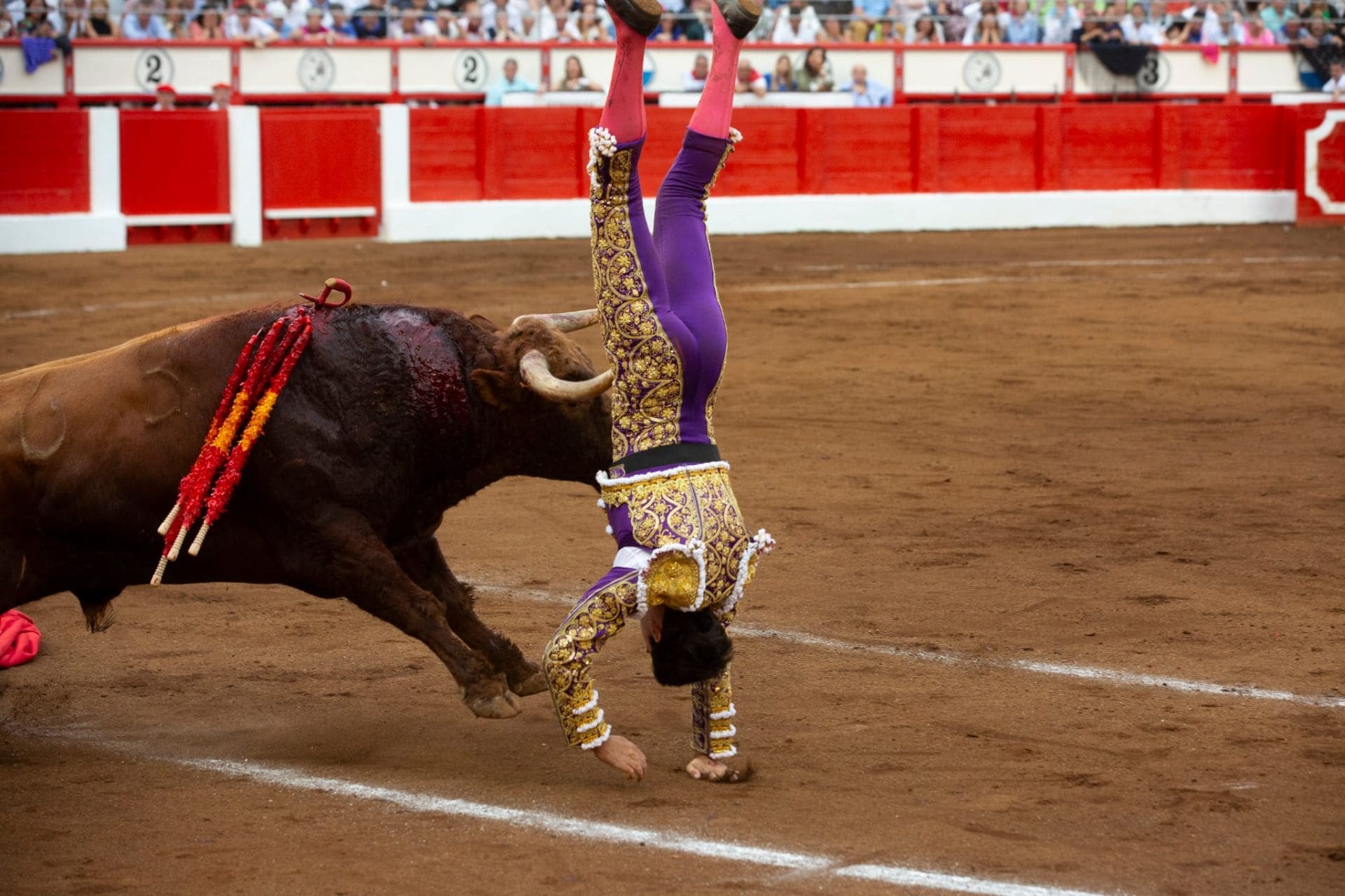 Tomás Rufo se hizo rápido con el festejo el 24 de julio cuando echó las dos rodillas a tierra para iniciar la faena. La tarde acabó con susto en forma de una tremenda voltereta al entrar a matar. El público pidió para él las dos orejas.