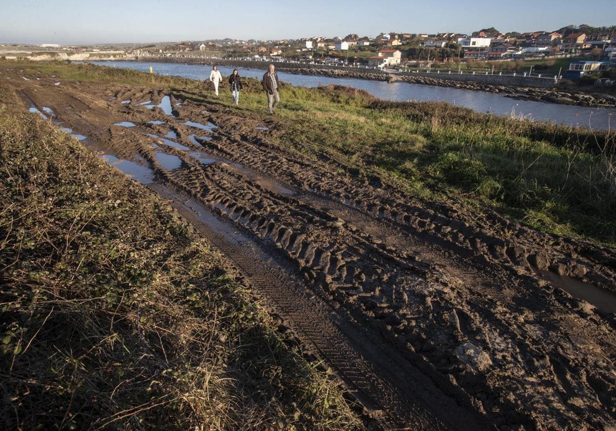 Los tractores que han accedido a las playas en la zona de La Maruca han dejado las marcas en el suelo.