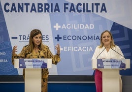 Sáenz de Buruaga y Urrutia, durante la presentación de la Ley de Simplificación Administrativa.