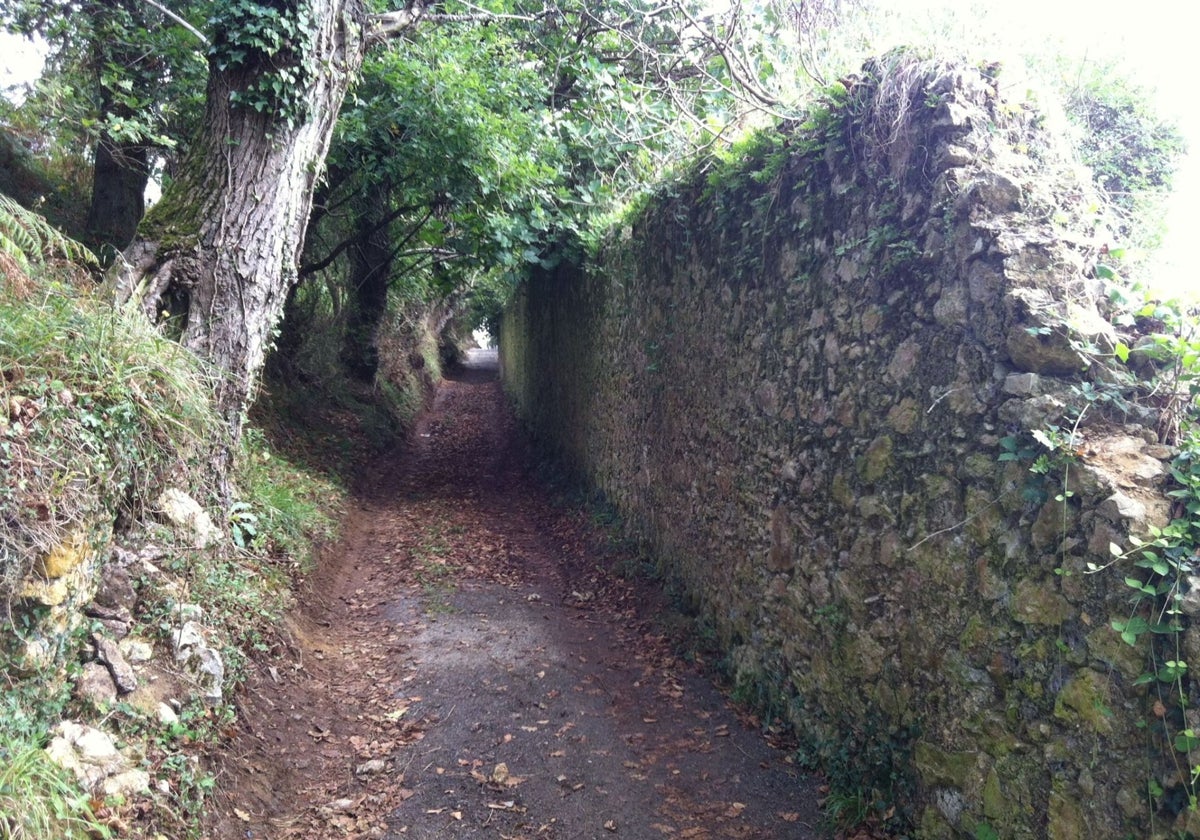 Senda peatonal de Arnuero.