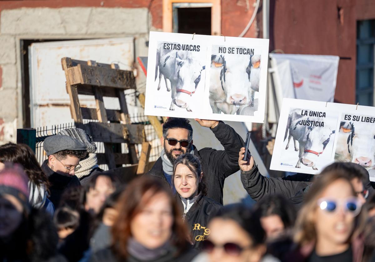 Un ejército popular para salvar las vacas