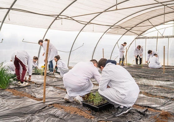 Grupo de alumnos en prácticas trabajando en un vivero.