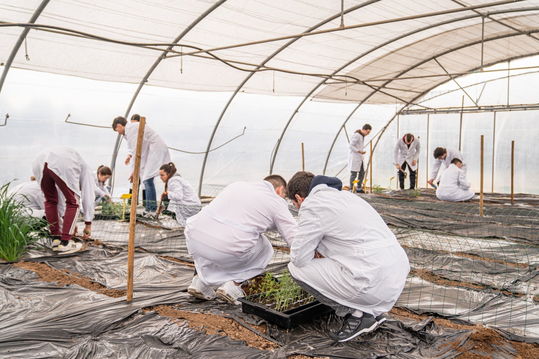 Grupo de alumnos en prácticas trabajando en un vivero.